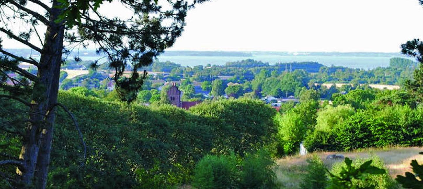 Ølsted Grusgrav