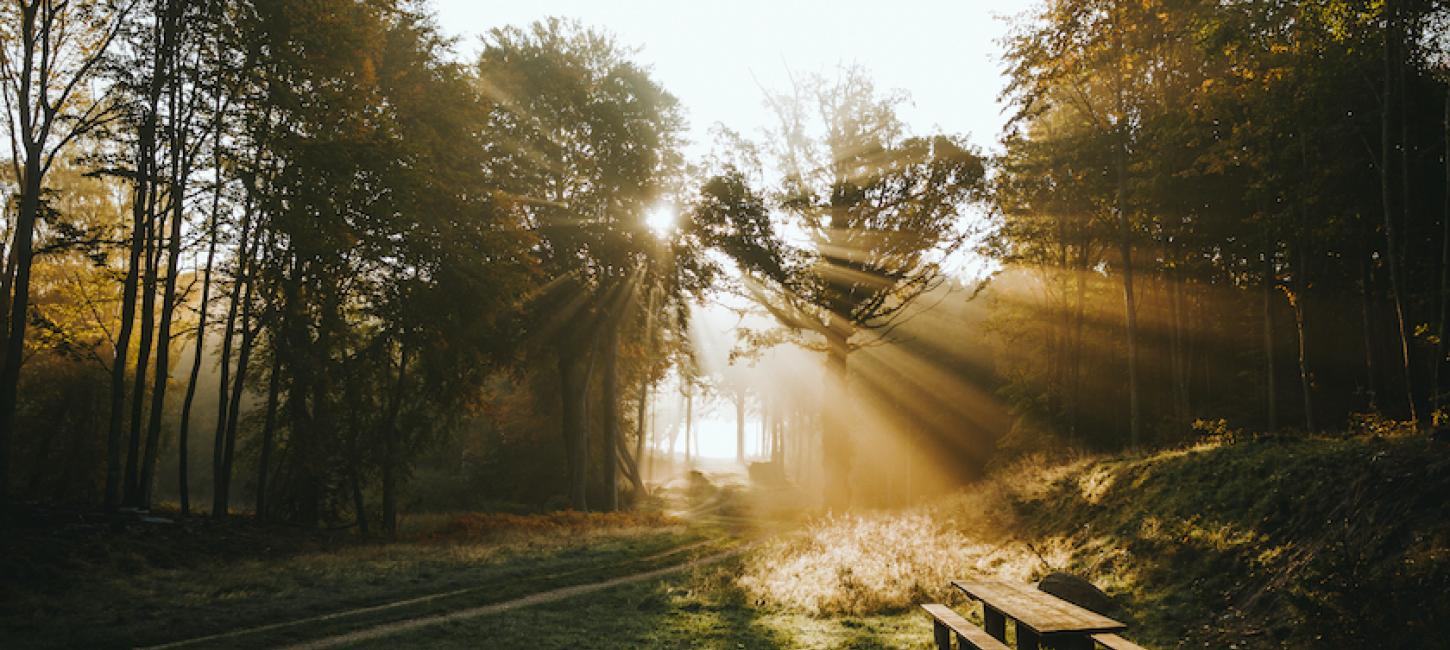 Nationalparkprojekt sat i gang