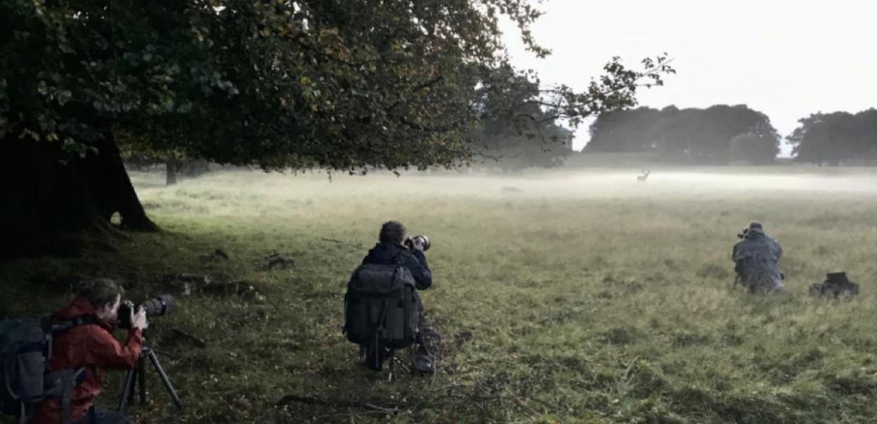 Fotografer i Dyrehaven