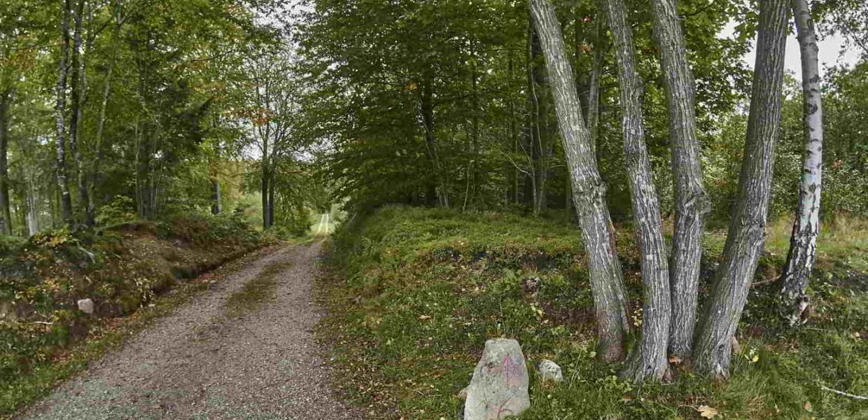 Parforcejagtlandskabet-Hillerød