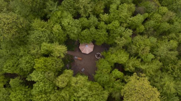 Shelter i skov