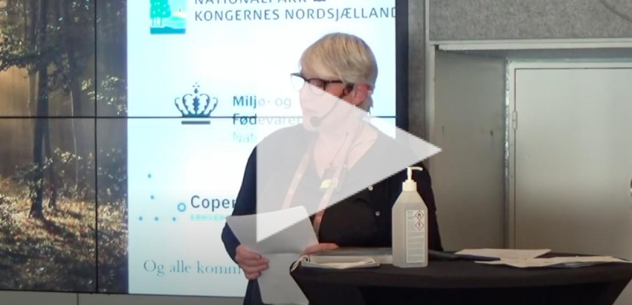 Screendump konference
