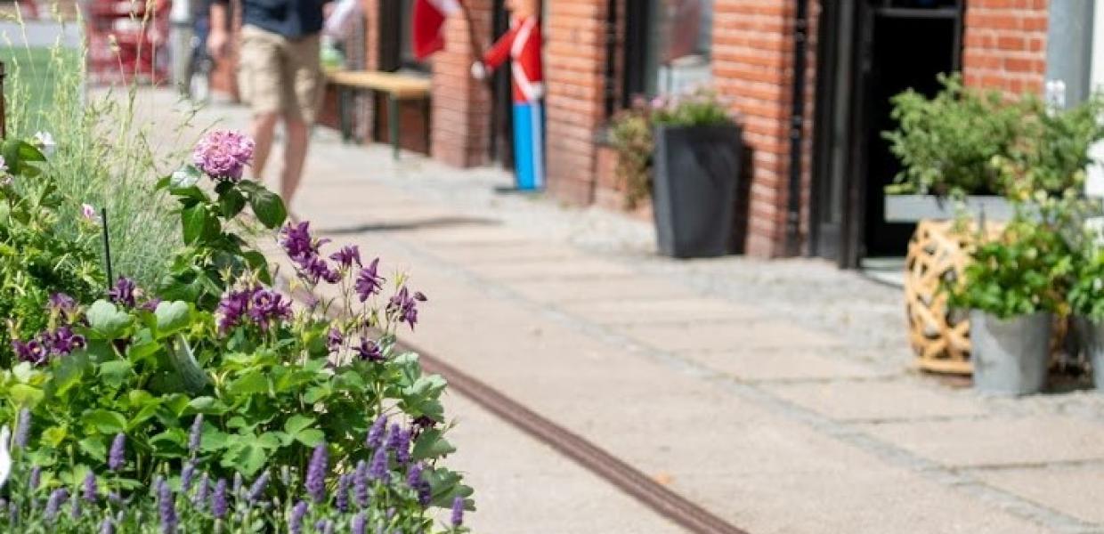 Blomster, mand og shoppinggade
