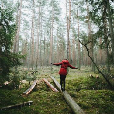 Leg i skoven i Tisvilde Hegn