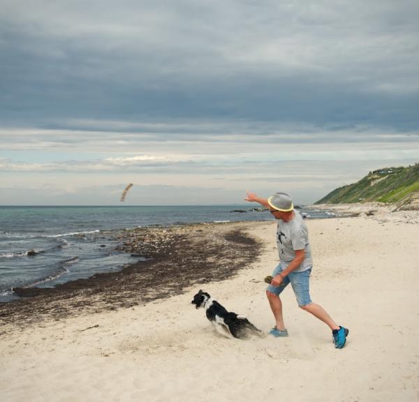 Tag hunden med på tur i Nordsjælland