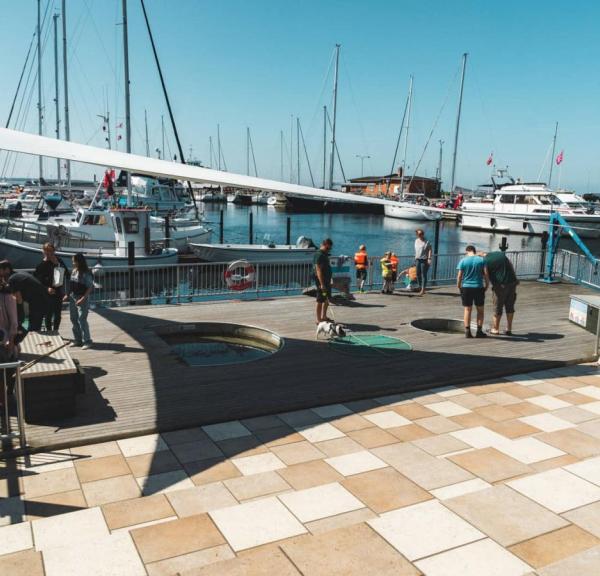 Klap en fisk - Oplevelsesplatform på havnen i Hundested