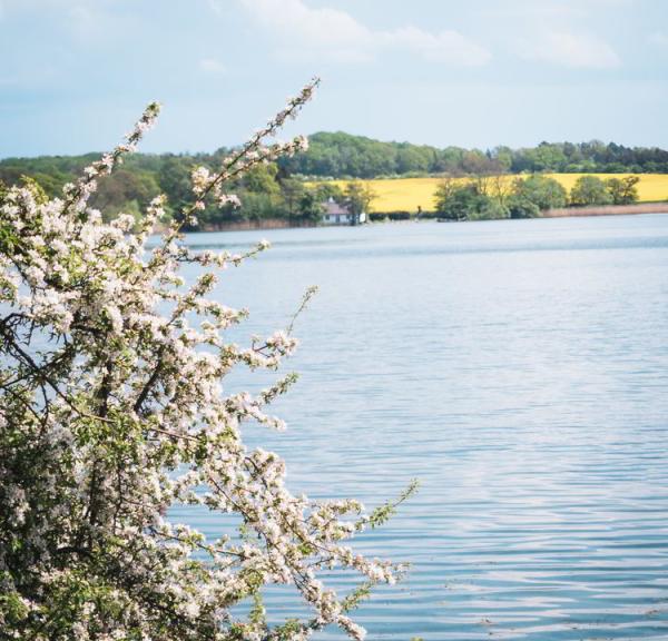 Tisvildevejen fra Hillerød til Melby Overdrev