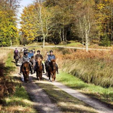 Ridetur i Parforcen