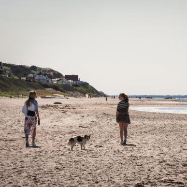 Hund på strand i Liseleje