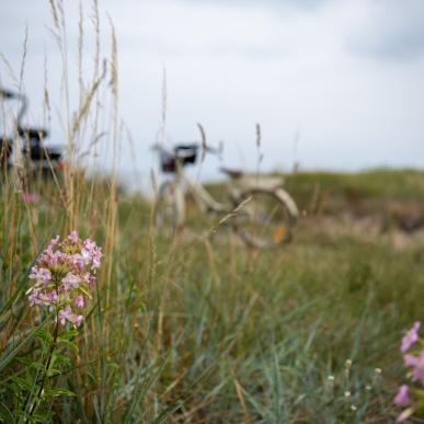 Cykelruter i Nordsjælland 