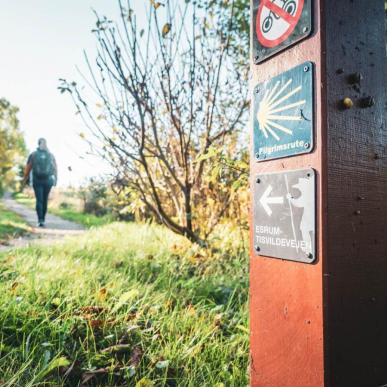 Tisvildevejen i Nordsjælland. En vandrerute med smukke naturoplevelser på Sjælland. 