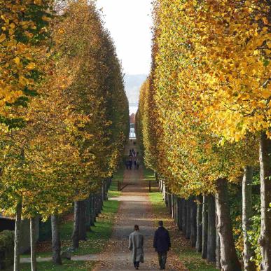 Fredensborg Slot i efteråret