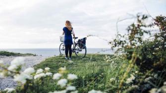 forsikring Plante træer Barmhjertige Cykelferie i Nordsjælland | VisitNordsjælland