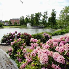 Gadekæret i Helsinge
