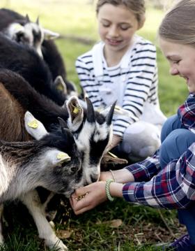 Tothaven Besøgsbondegaard Hundested