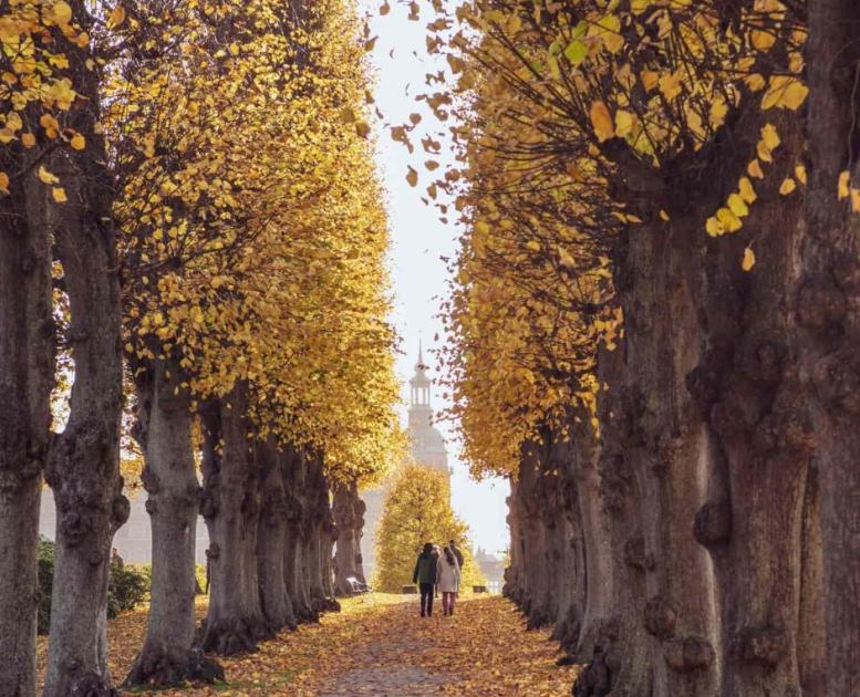 Alleen og barokhaven ved Frederiksborg Slot klædt i efterårets farver
