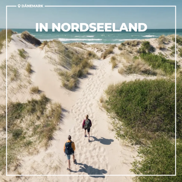 Resultater fra Markedsføringskampagne i Tyskland