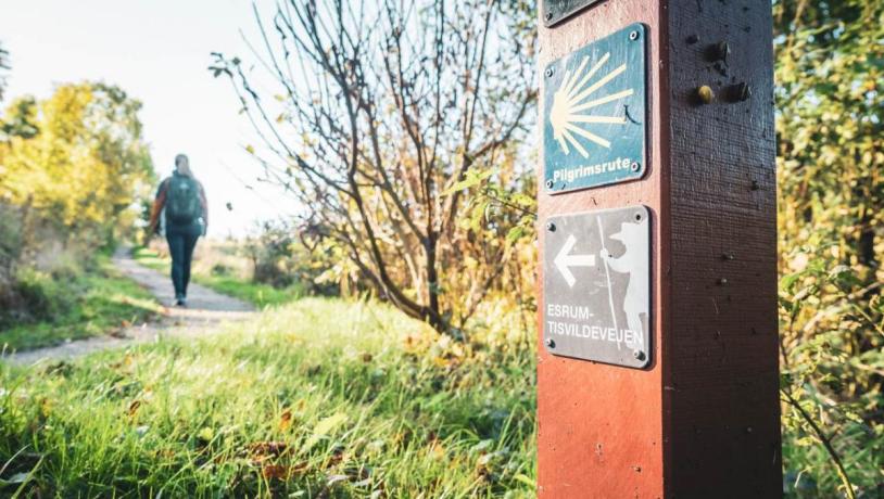 Tisvildevejen i Nordsjælland. En vandrerute med smukke naturoplevelser på Sjælland. 