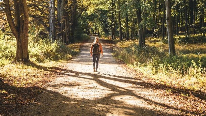 Esrum-Tisvildevejen er en ca. 25 km lang vandretur gennem det nordlige Sjælland, hvor du får en masse naturoplevelser, kan se sjældne fugle samt overnatte i det fri i shelter. 