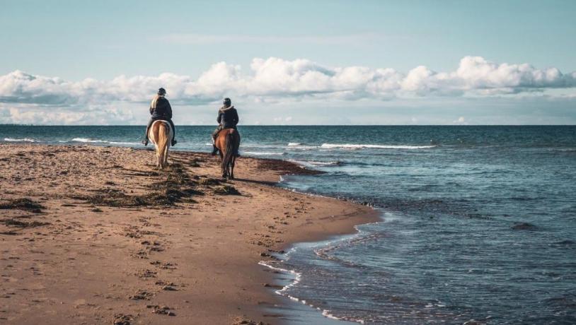 Ridning på Tisvildeleje strand i Nordsjælland. her er højt til loftet og kilometervis af skøn strand og naturoplevelser. 