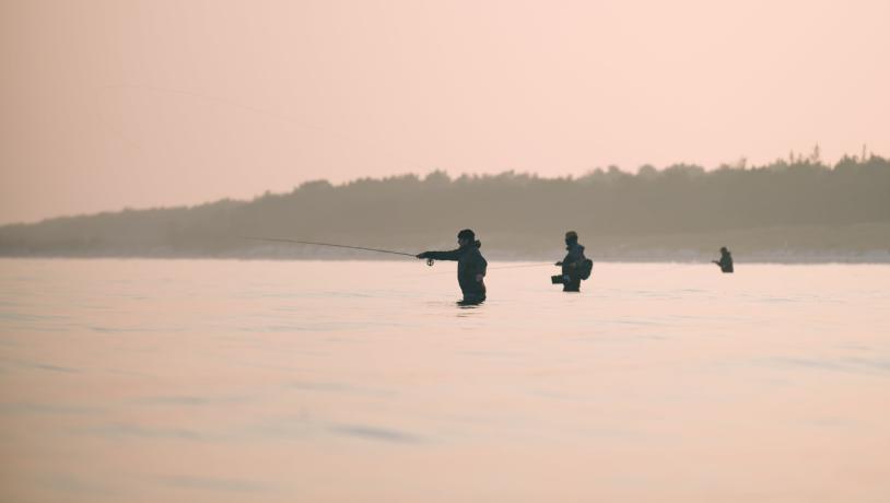 Fishing Danmark