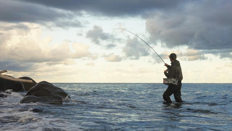 Fishing Danmark