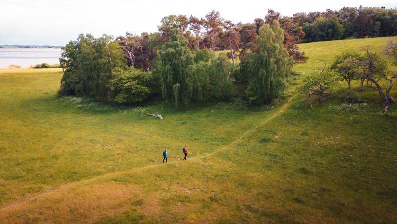 Gå i den fantastiske nordsjællandske natur på vandreruten Halsninoen