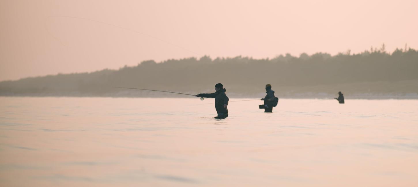 Fishing Danmark