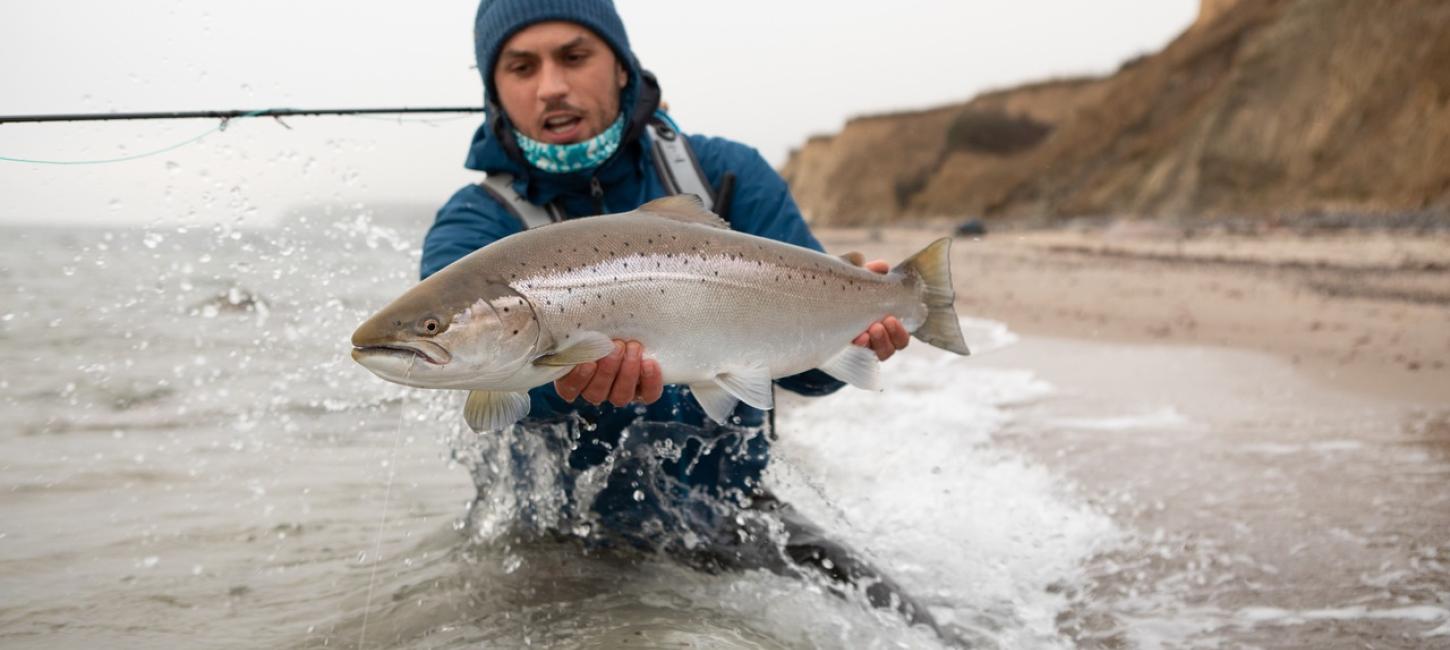 Fishing Danmark-Havørredfiskeri