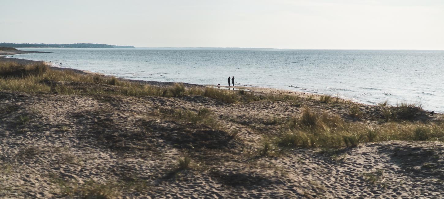 To mennesker går en tur på Tisvildeleje Strand