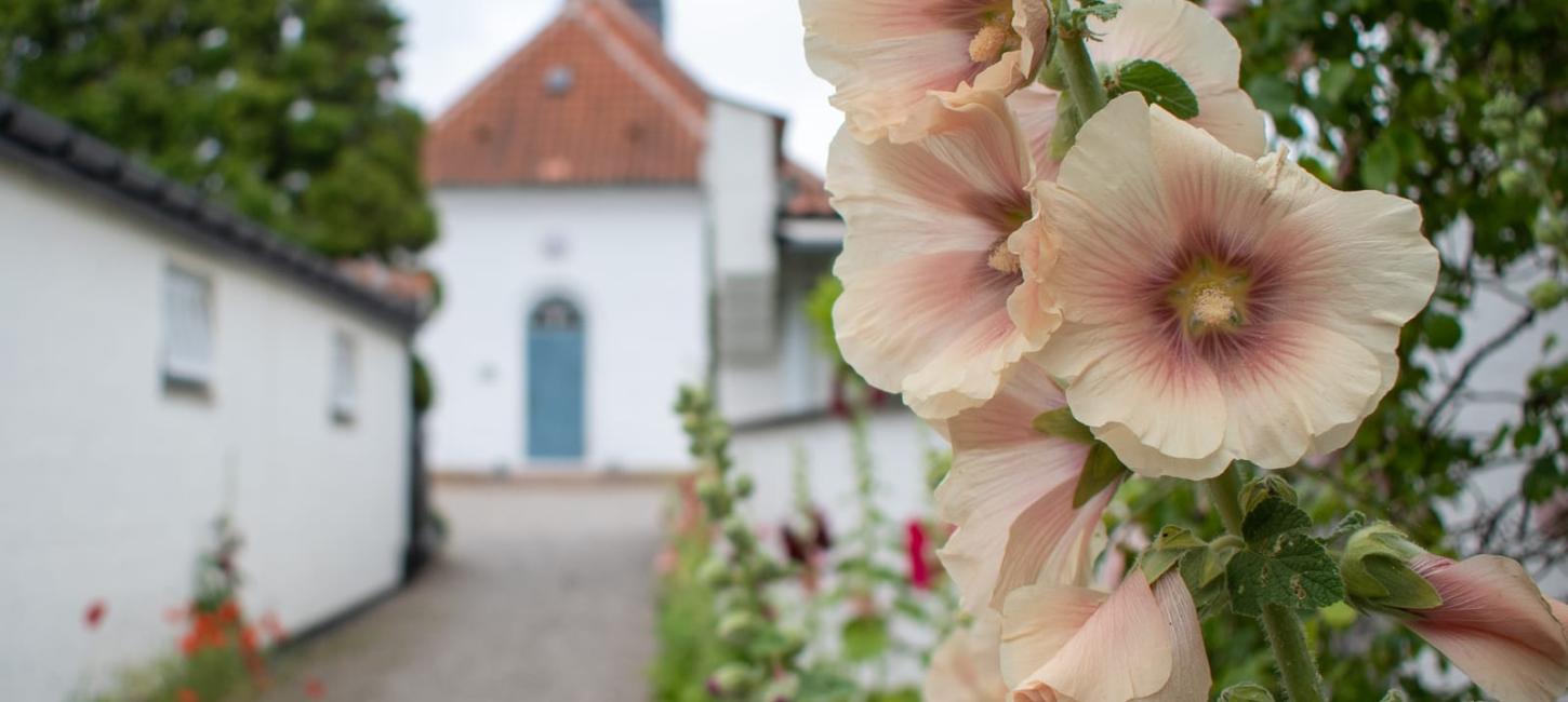Gilleleje By