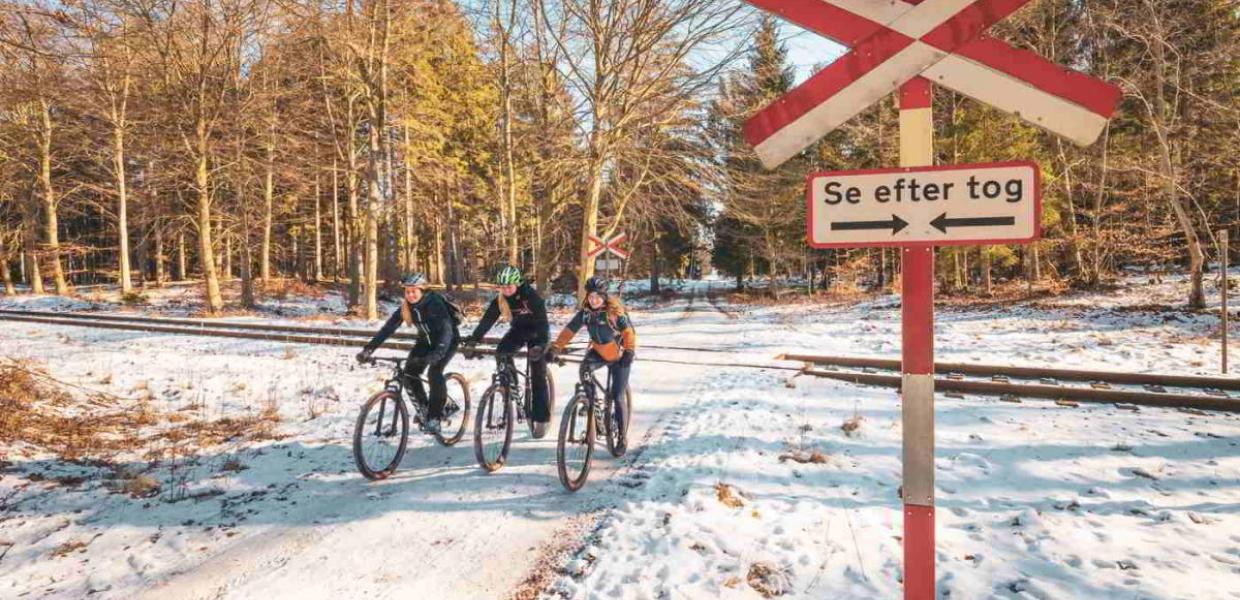 mountainbike gribskov cykel mtb udlejning leje sponz