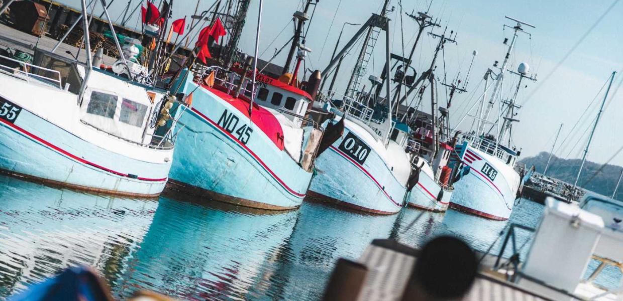 Fiskekutterne ligger på rad og række i Gilleleje havn