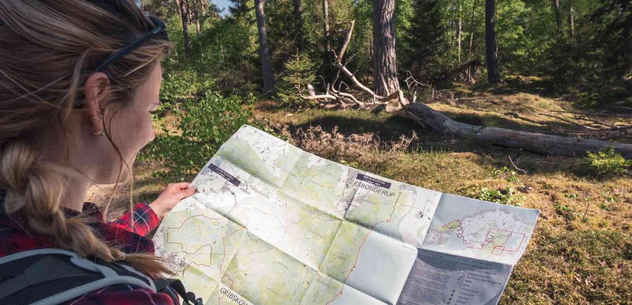 Resultater fra Markedsføringskampagne i Tyskland
