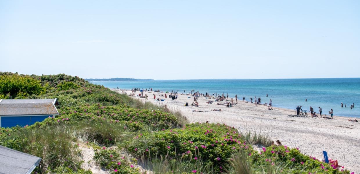 Folk på stranden ved Tisvildeleje