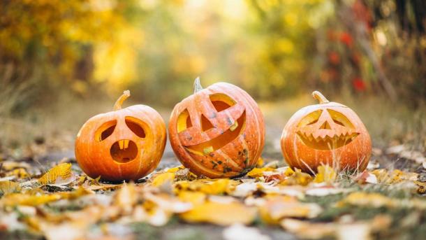 Græskarskæring til Halloween