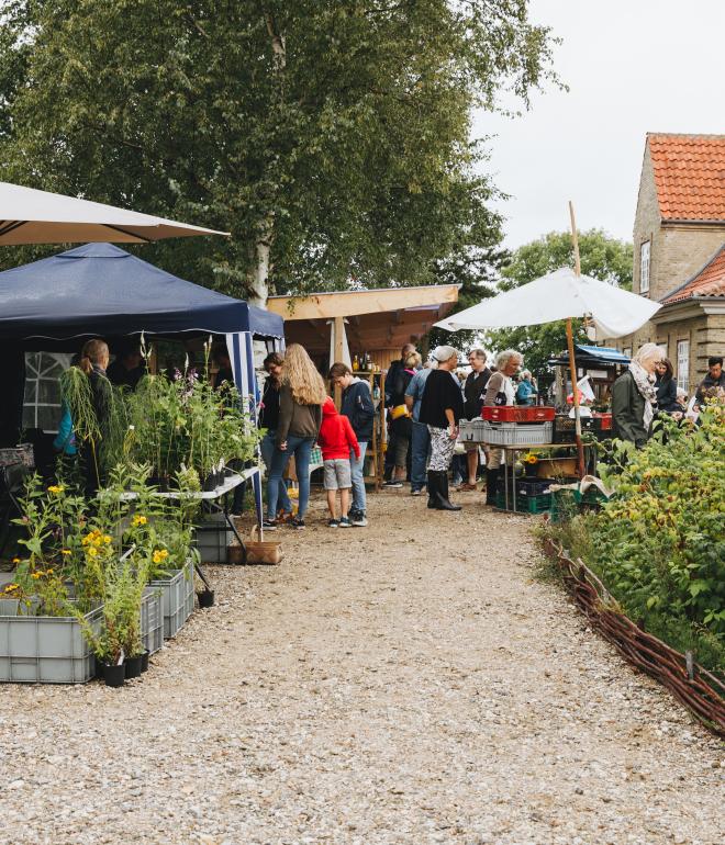 Torup Marked kan opleves fra juni til oktober hver anden lørdag