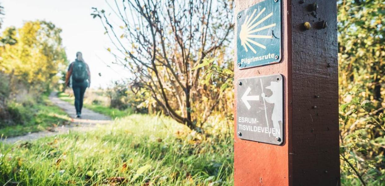 Tisvildevejen i Nordsjælland. En vandrerute med smukke naturoplevelser på Sjælland. 