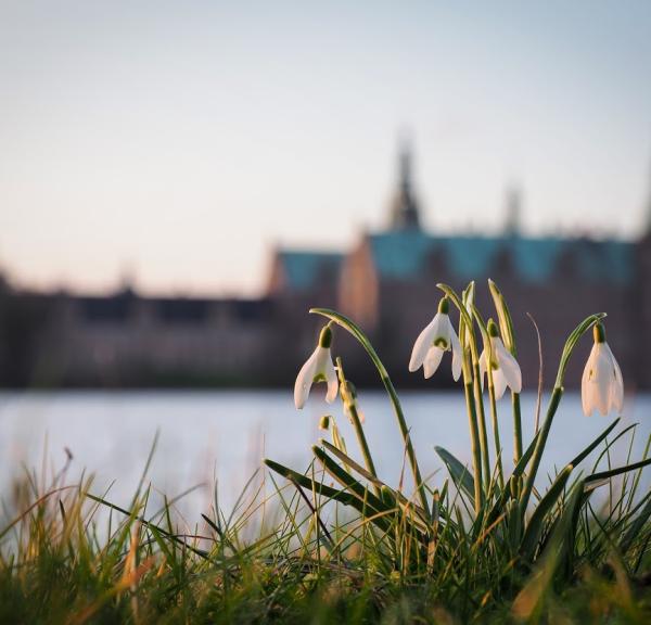 Frederiksborg Slot