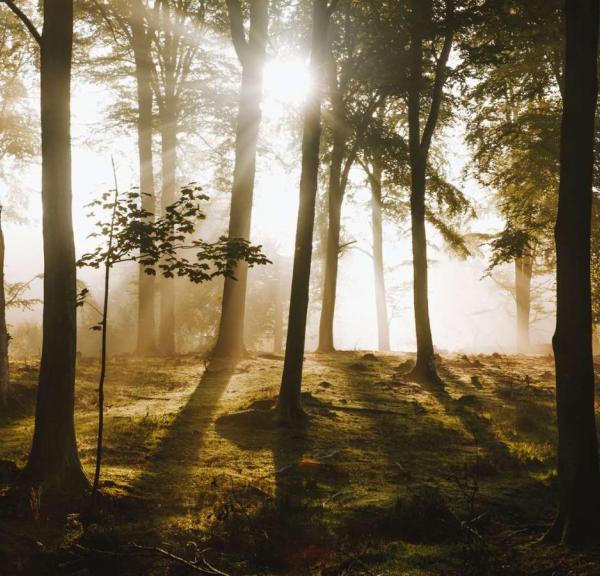 Nationalpark Kongernes Nordsjælland