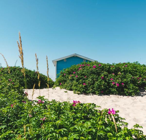 Tisvildeleje Strand