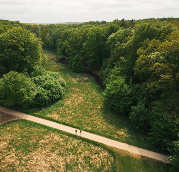 Tisvildevejen fra Hillerød til Melby Overdrev