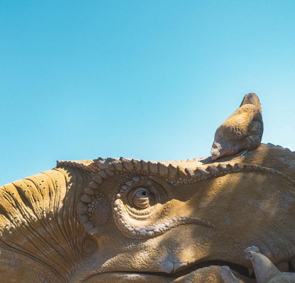 Hundested Sandskulptur Park - Se smukke sandskulpturer på Havnen i Hundested