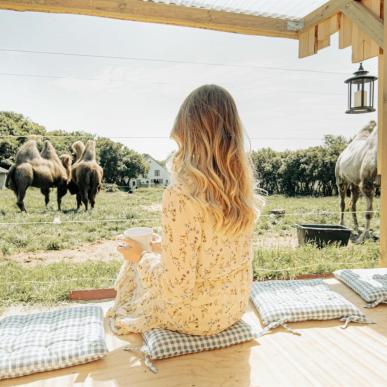 Glamping Nordsjælland