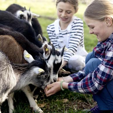 Tothaven Besøgsbondegaard Hundested