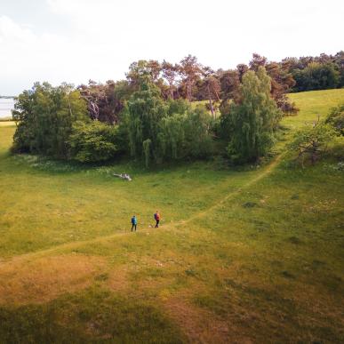 Gå i den fantastiske nordsjællandske natur på vandreruten Halsninoen