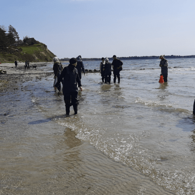 Tag på tangsafari ved Lynæs