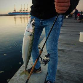 Fishing Danmark