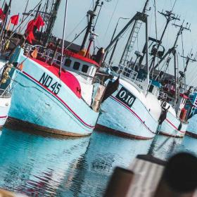 Fiskekutterne ligger på rad og række i Gilleleje havn