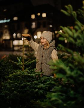 Fæld dit eget juletræ